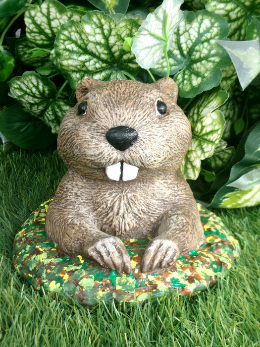 Whimsical Groundhog Concrete 7.75 x 7.75 x 5.5" High