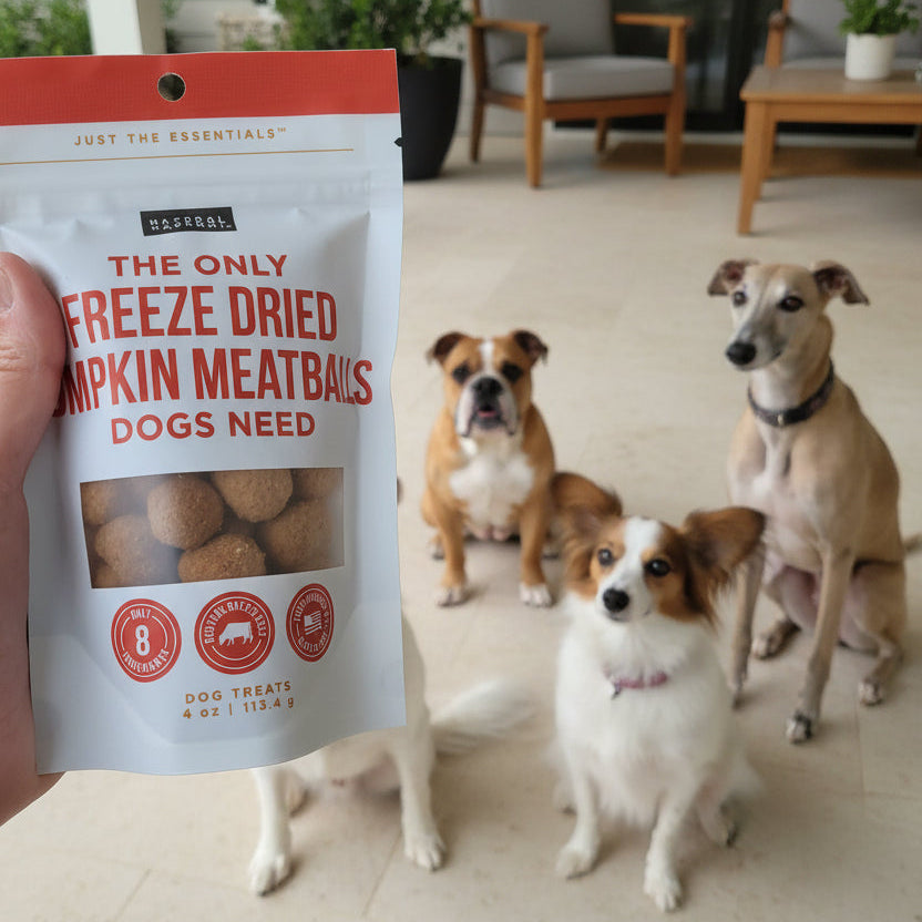 Pumpkin Meatball Dog Treats