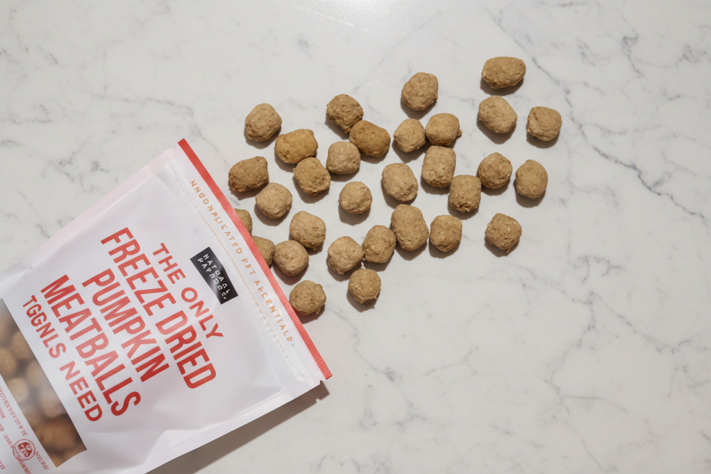 Pumpkin Meatball Dog Treats
