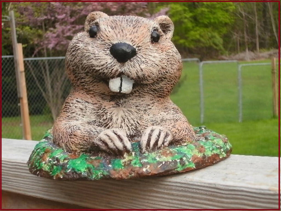 Whimsical Groundhog Concrete 7.75 x 7.75 x 5.5" High