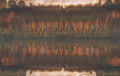 Pear Chromatogram 2