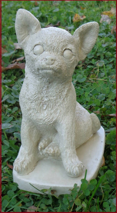 Chihuahua Dog concrete 4-1/2 x 5-3/4 x 8" High