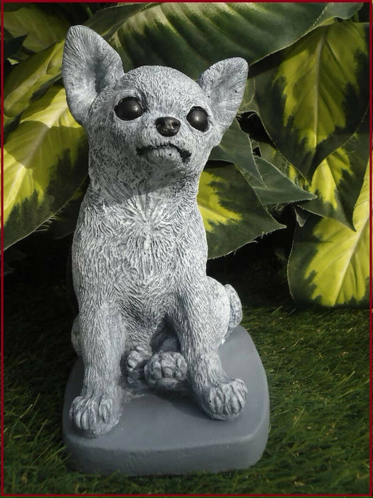 Chihuahua Dog concrete 4-1/2 x 5-3/4 x 8" High