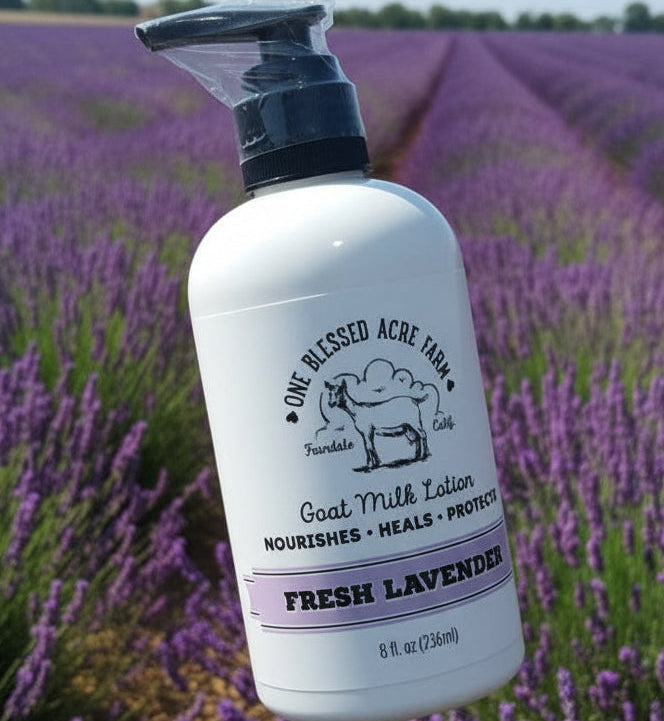 Hand and Body Goat Milk Lotion- Lavender-8oz