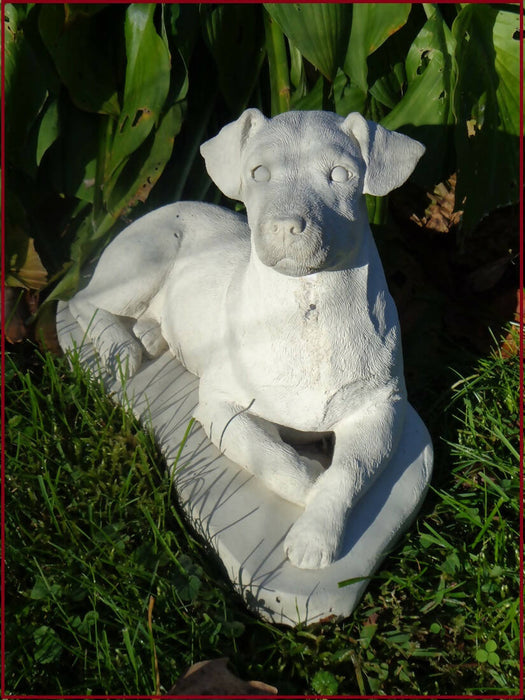 Jack Russell Terrier Dog Concrete 5 x 11 x 7-1/4" High