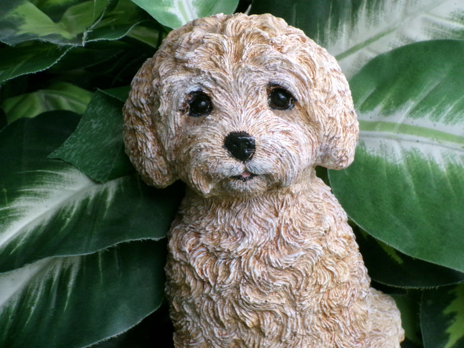 Labradoodle Cockapoo Dog Concrete 4-1/2" x 5-3/4" x 8" high