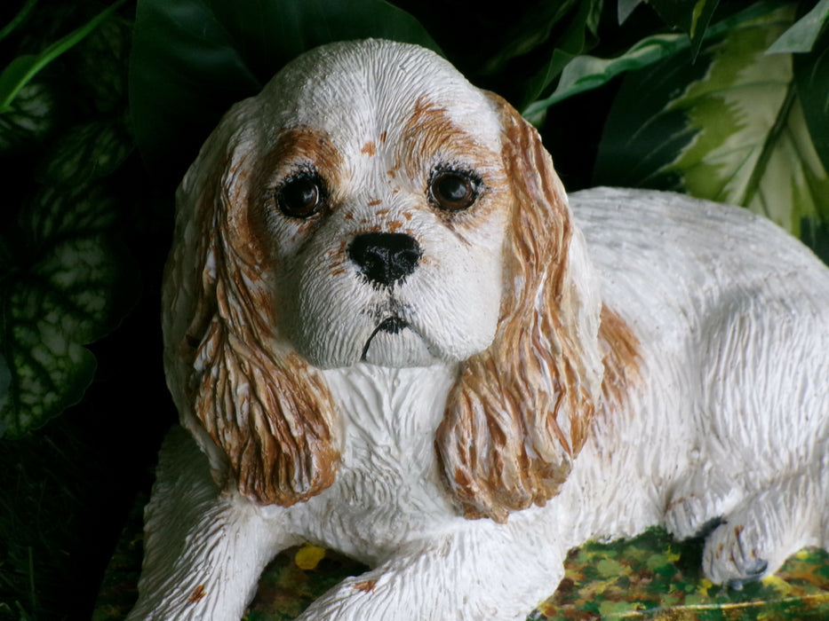 Cavalier King Charles Spaniel Concrete 6x10-1/2 x 6" High