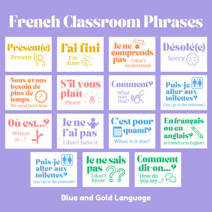 French Class Printable: Classroom Phrases ~ Set of 15 Posters, 6 Designs Included ~ Bulletin Board Display ~ Pastels, Rainbow, Checkerboard