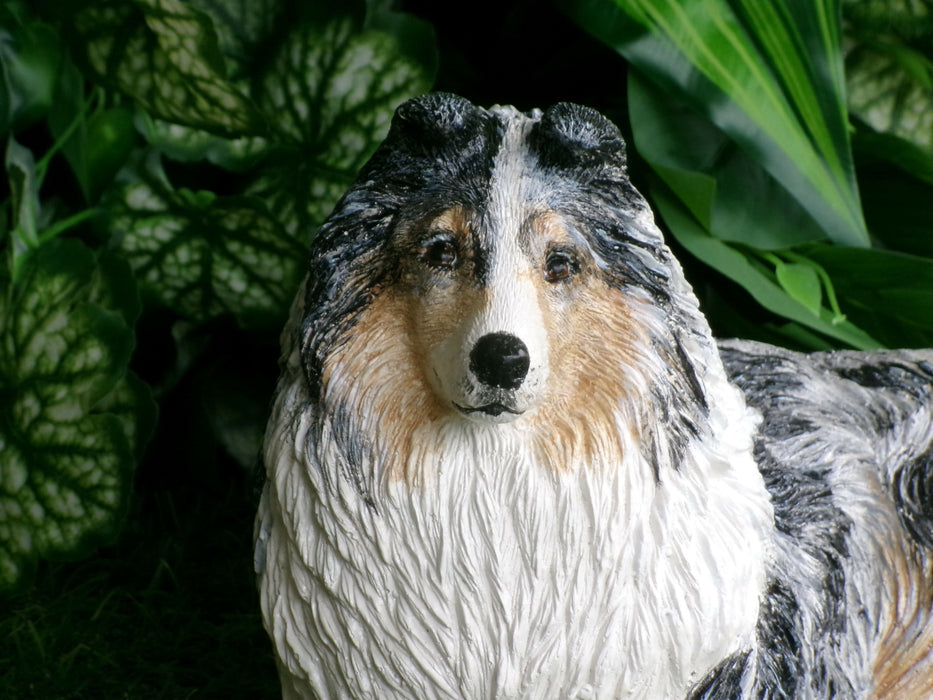 Shetland Sheepdog concrete statue 5x10x6" High