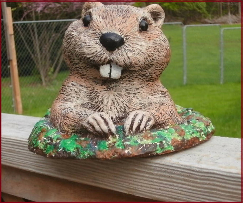 Whimsical Groundhog Concrete 7.75 x 7.75 x 5.5" High