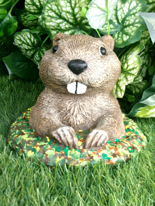 Whimsical Groundhog Concrete 7.75 x 7.75 x 5.5" High