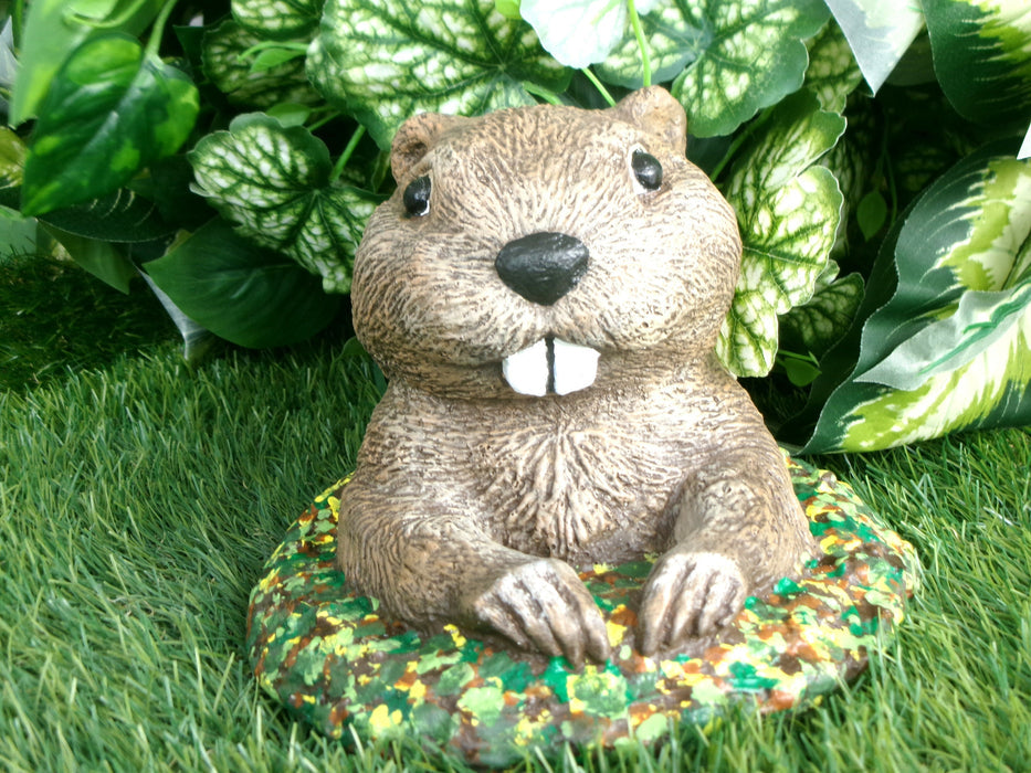 Whimsical Groundhog Concrete 7.75 x 7.75 x 5.5" High