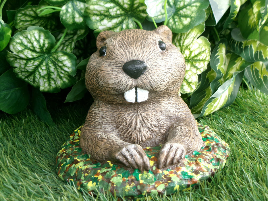 Whimsical Groundhog Concrete 7.75 x 7.75 x 5.5" High