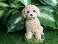 Labradoodle Cockapoo Dog Concrete 4-1/2" x 5-3/4" x 8" high